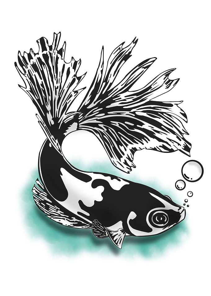 Betta