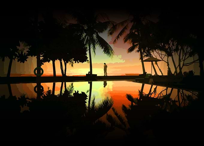 Palm paradise