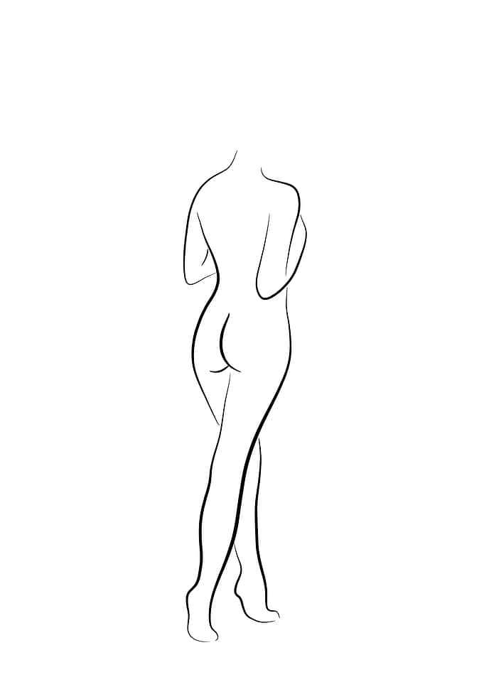 Slender Sylvia