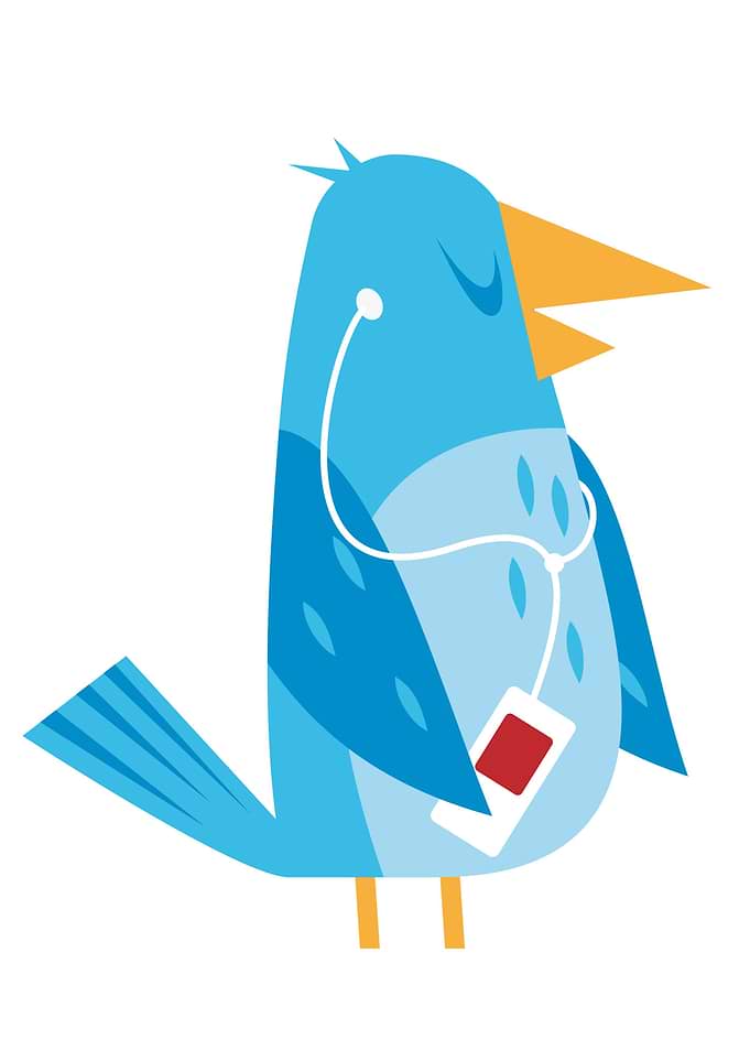 Music Bird