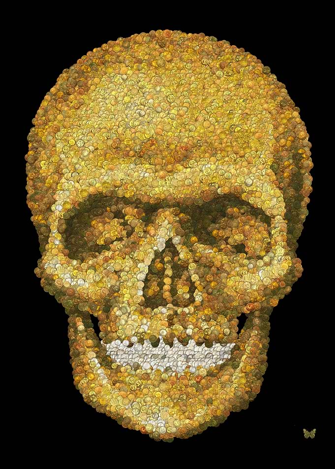 The pirates skull