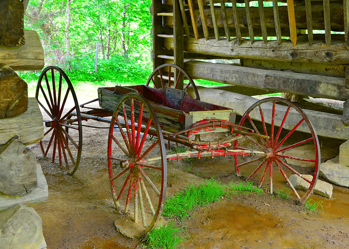 Red buggy