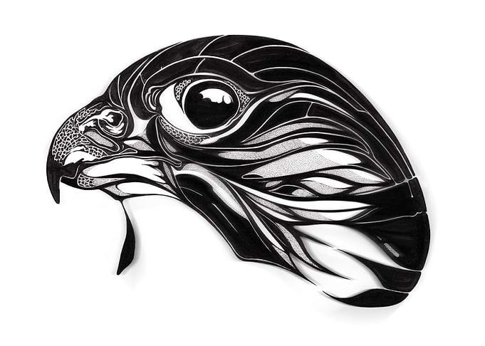 FALCON