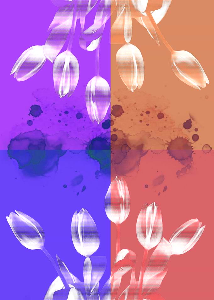 flower tulip mirrored