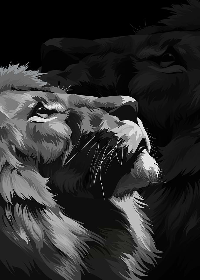 Alone lion monochrome