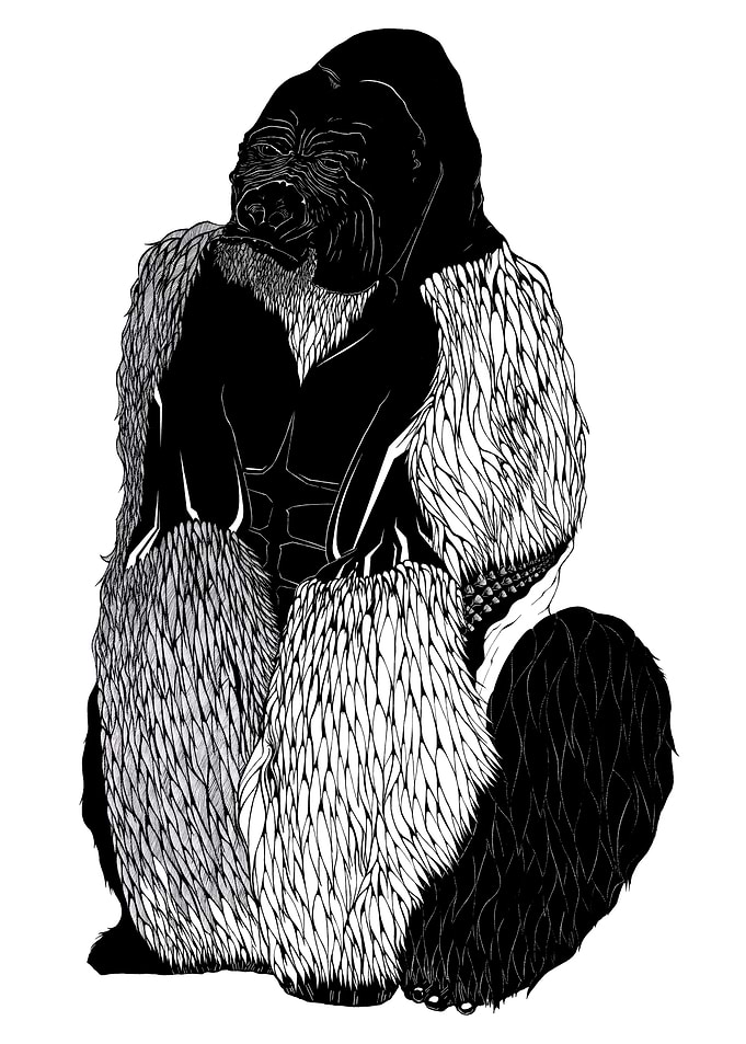 GORILLA
