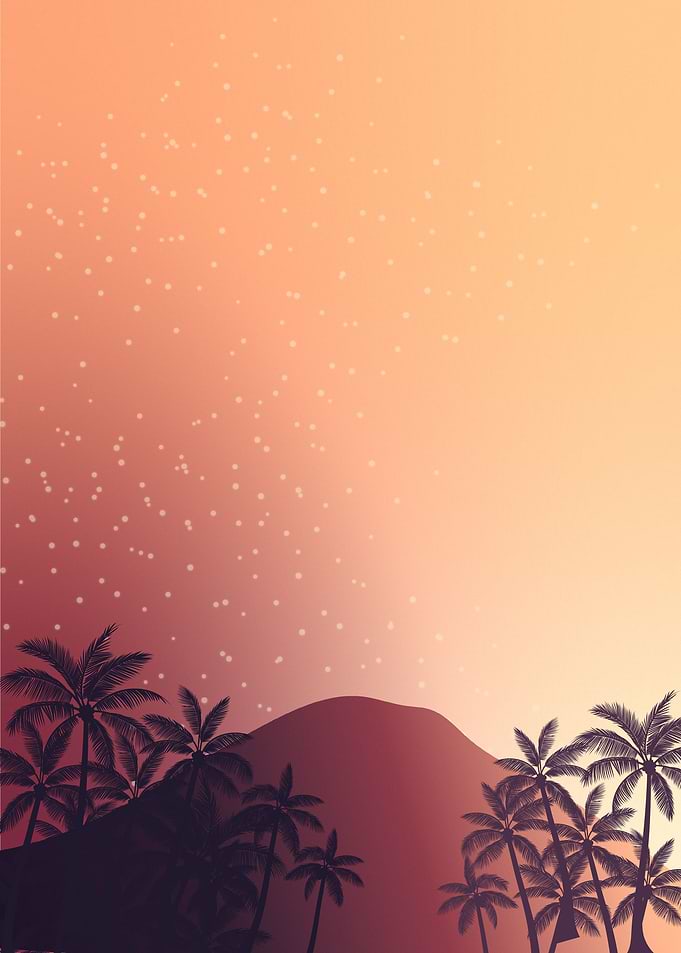 Silhouette Palm