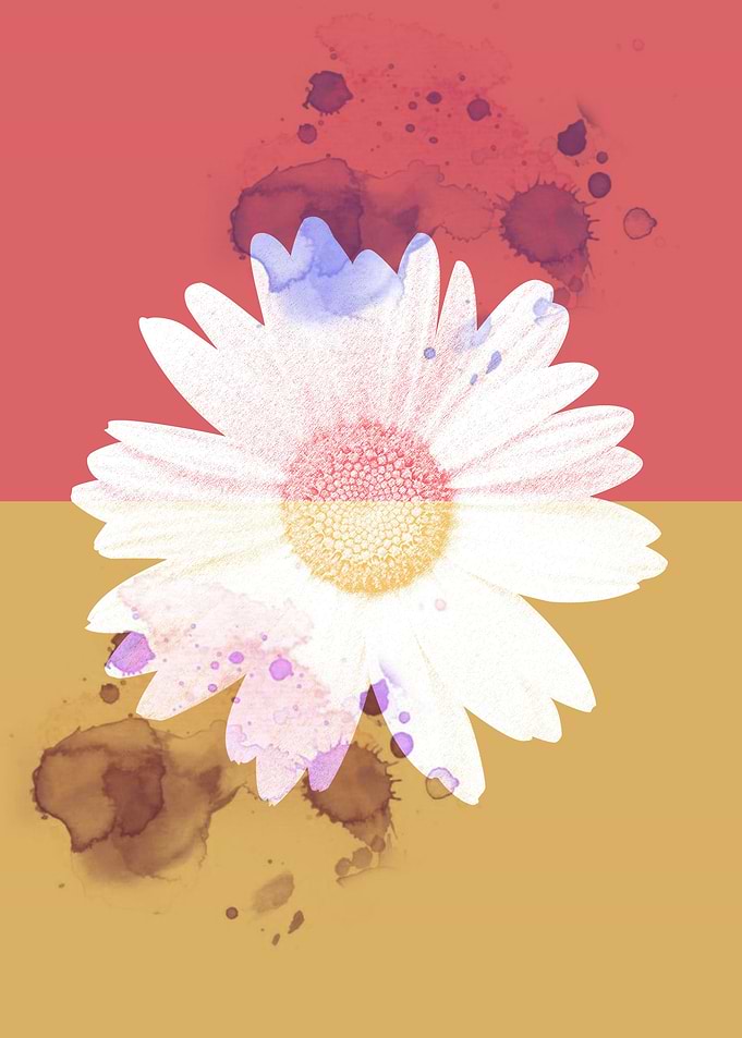 colorful flower