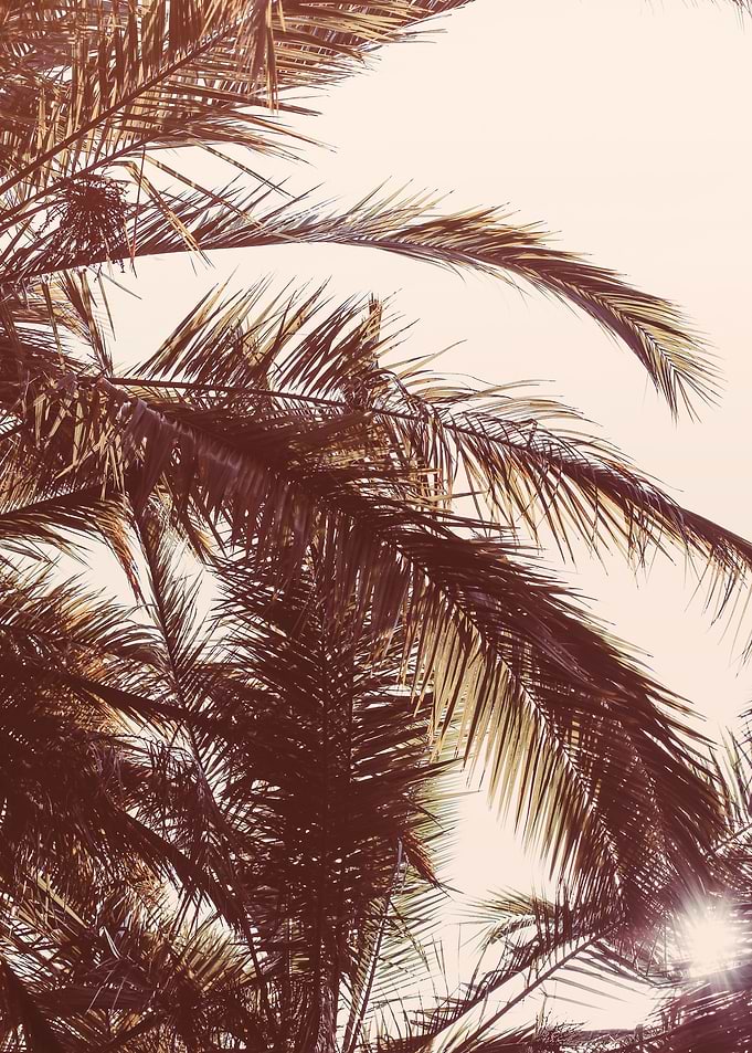 Tropic Life