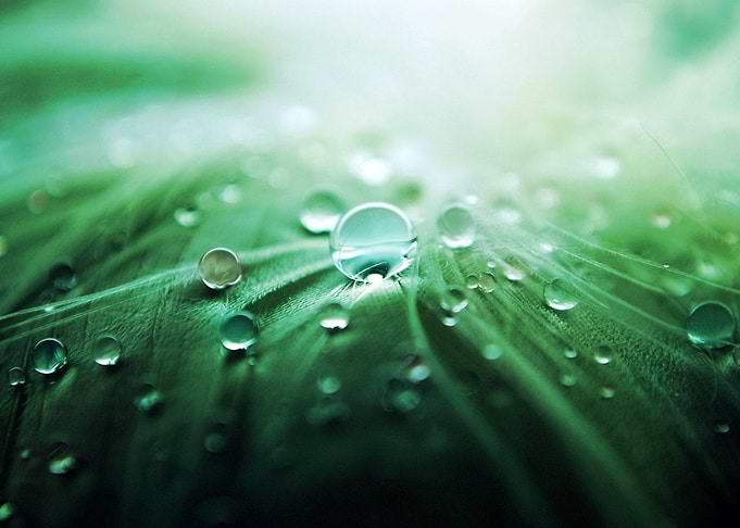 Droplets of water