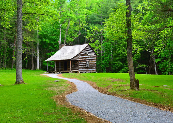 Cabin in the woods
