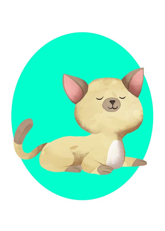 cute Cat art