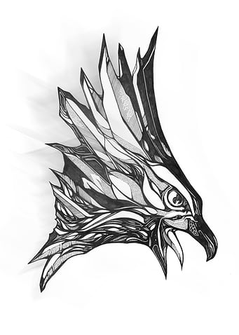 HAWK CRY