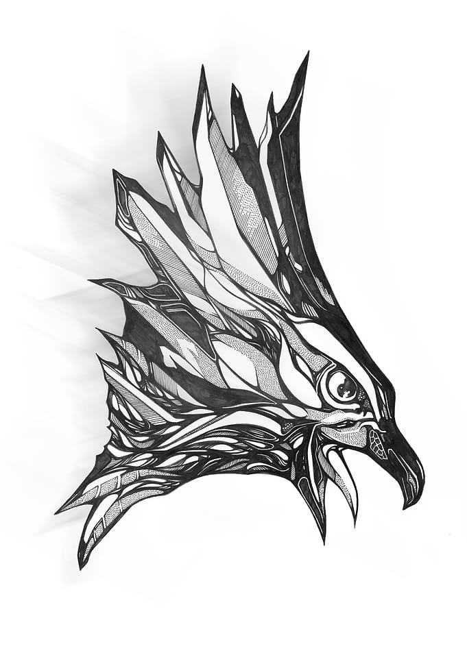 HAWK CRY