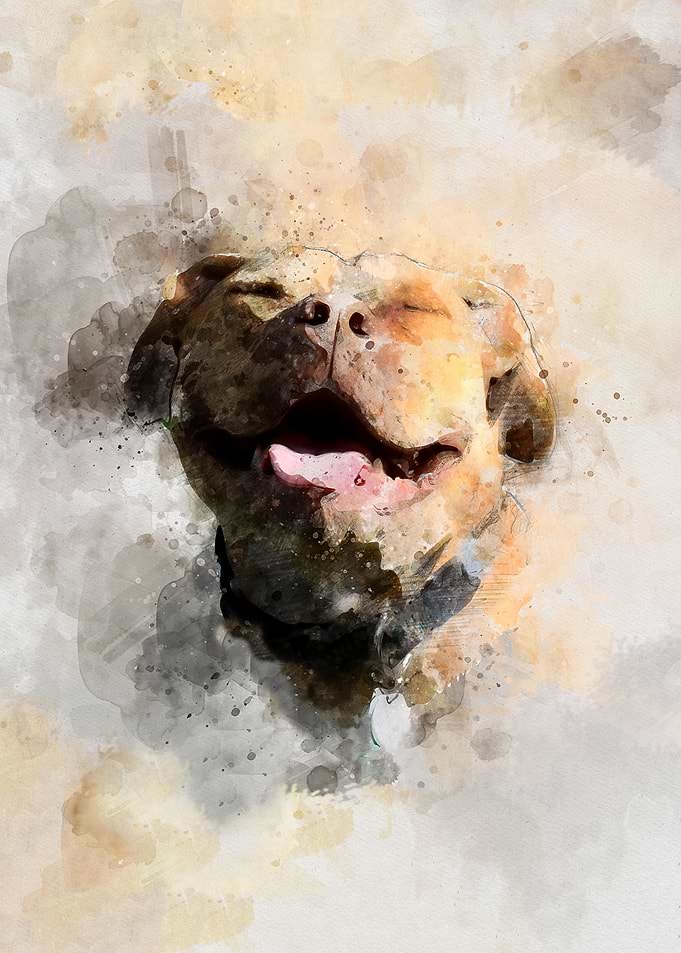Smilling