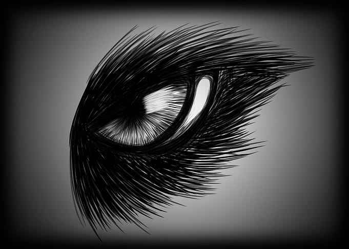 Eye of shadow