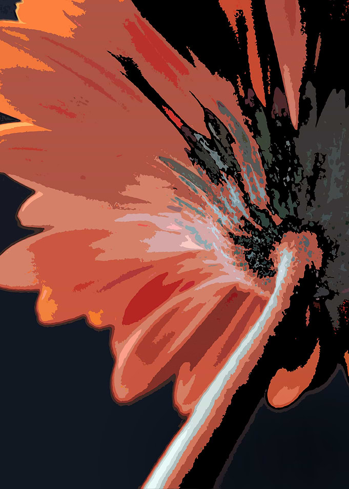 Burnt Daisy
