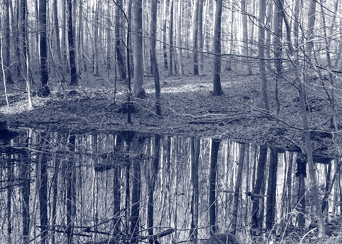 Reflection