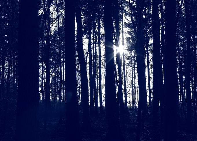 Fairy Light