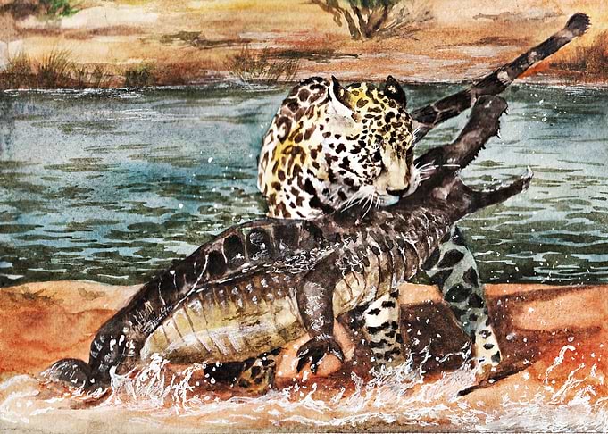 Jaguar and Crocodile