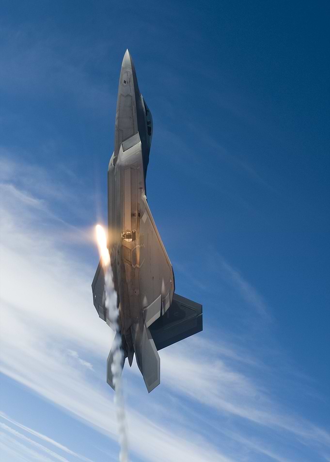 Raptor