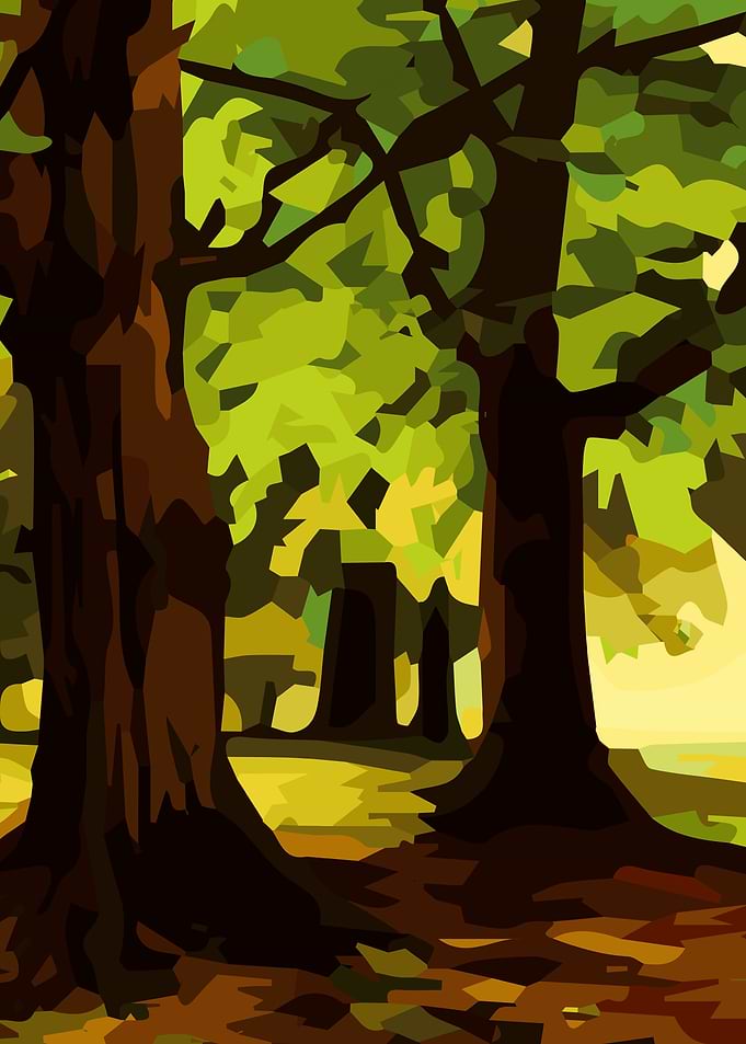 Spring Forest