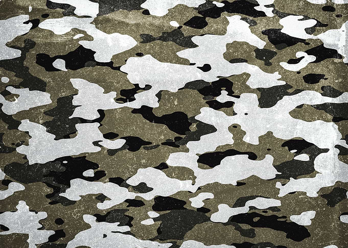 Urban Camouflage
