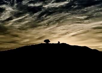Lonely Hill