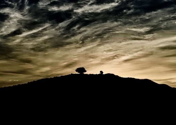 Lonely Hill