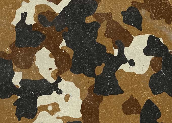 Desert Camouflage