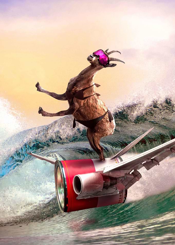 Funny Surfing Goat