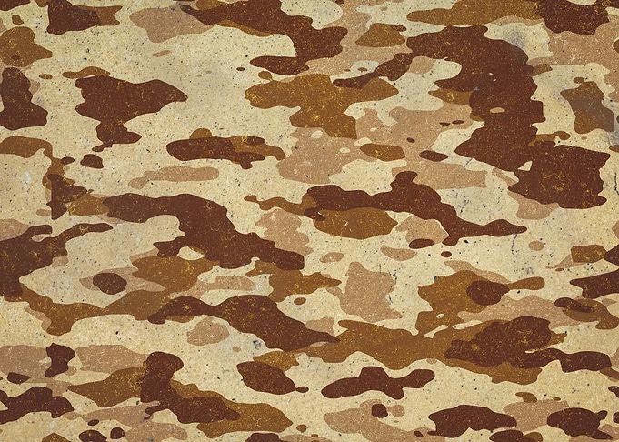 Desert Camouflage