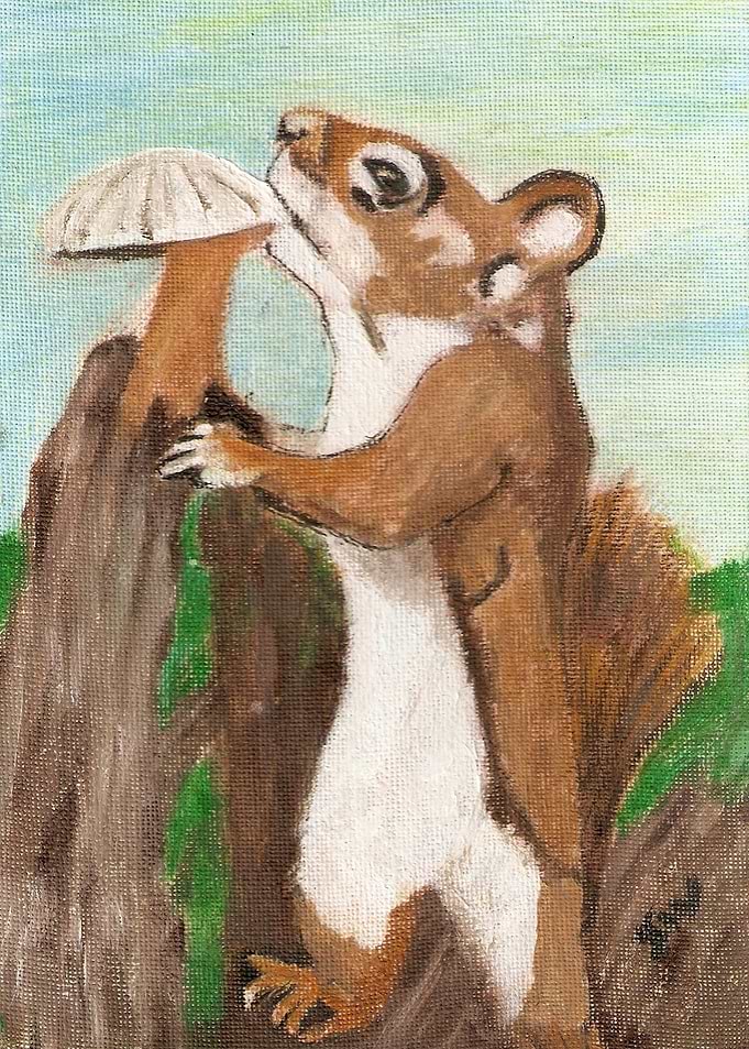 Squirrel