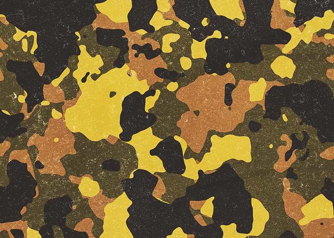 Woodland Camouflage