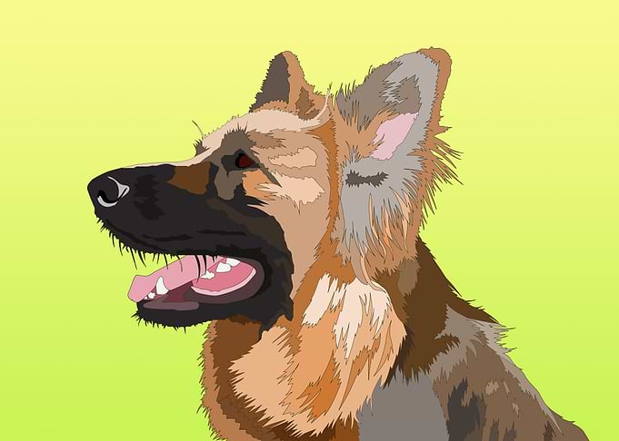 Mick the dog
