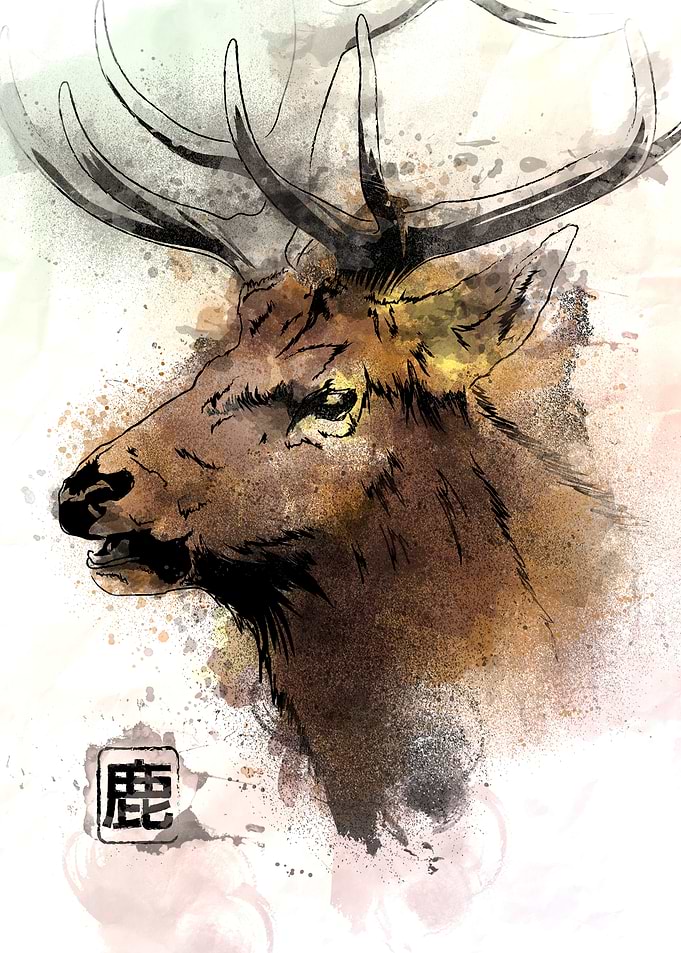 Watercolor Deer