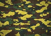 Woodland Camouflage