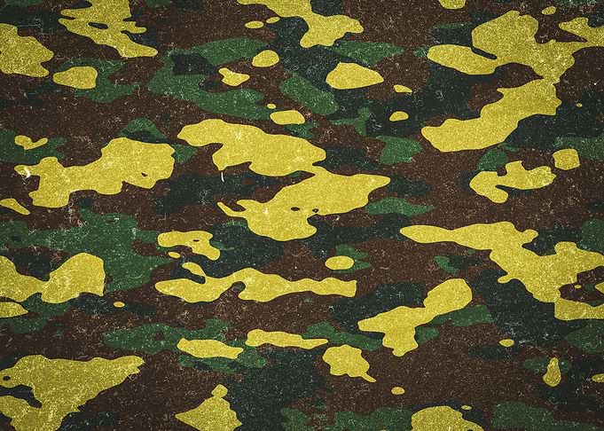 Woodland Camouflage