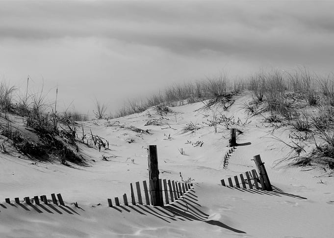 Buried Fences Coastal