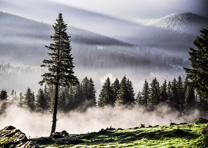 Valley of fog