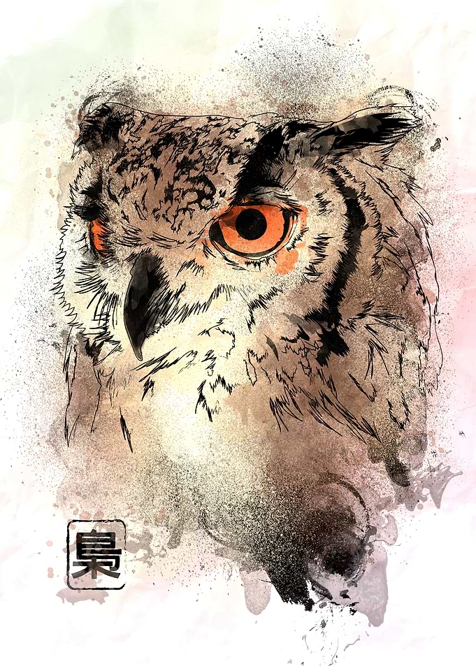 Watercolor Owl