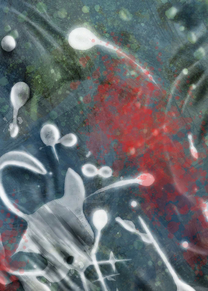 White Green and Red