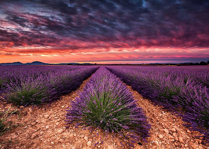 Wonderful World
