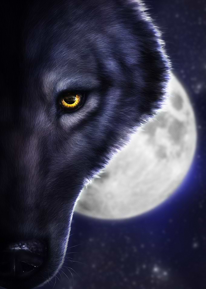On the hunt