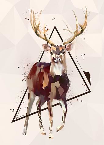 Deer