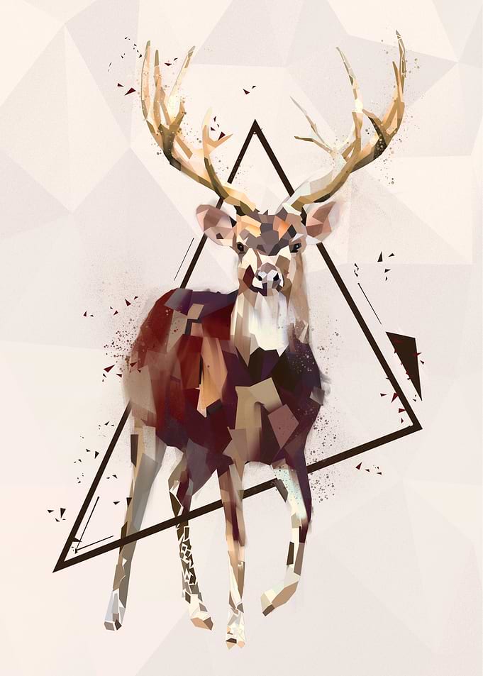 Deer