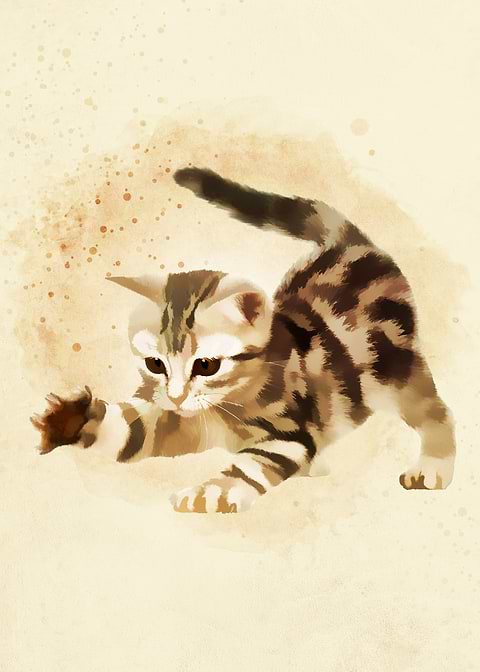 Cute Baby Cats2