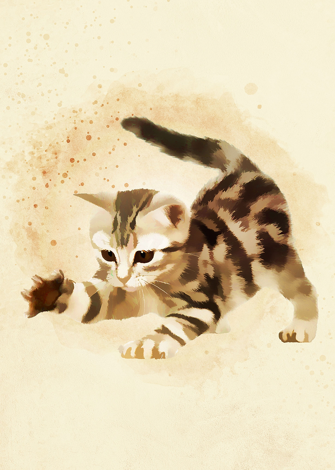 Cute Baby Cats2