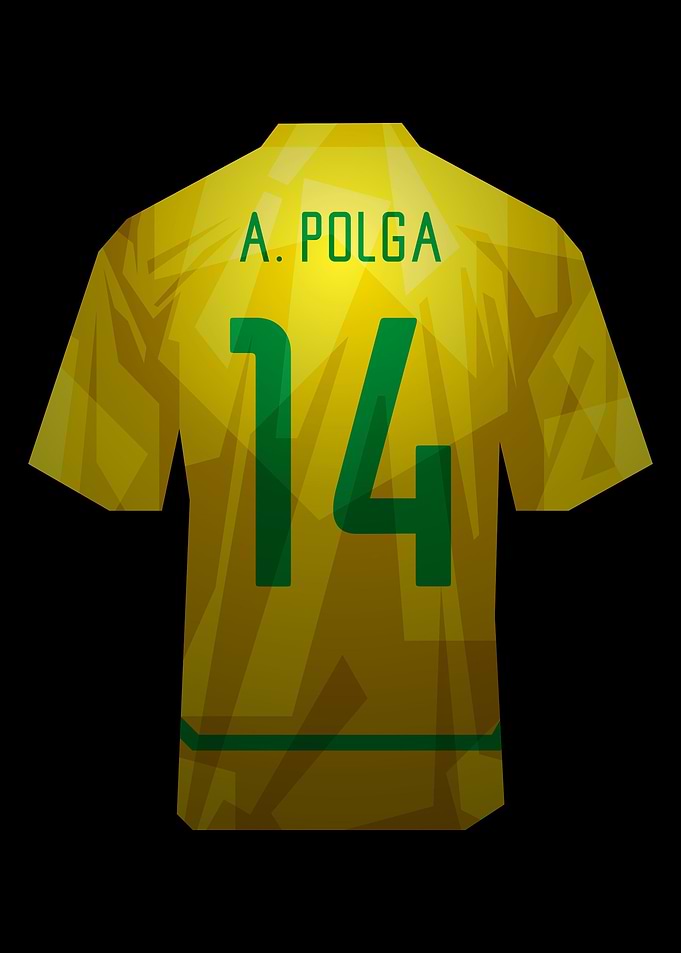 Anderson Polga Brazil 2002