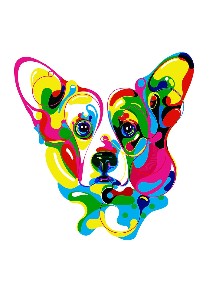 Corgi